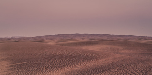 Beautiful sand dunes in the desert.
