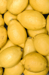 Lemon, Citrus limon