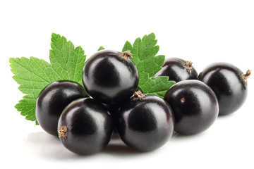 black currant with leaf isolated on white background