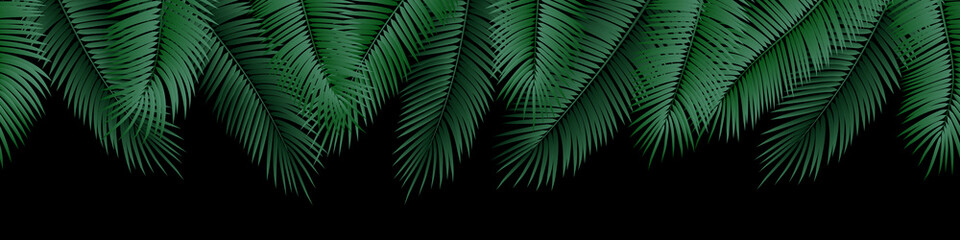 Vector seamless summer palm leaves on black background.