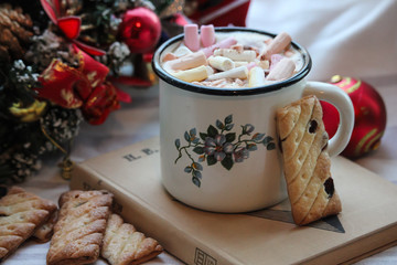 A cup of coffee with parshmallow on the top and cookies on the book