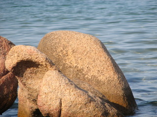 Fototapeta na wymiar sea mare rocce rocks