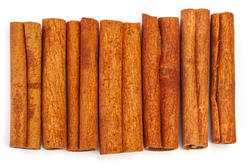 Several cinnamon sticks lined up insolated on white background