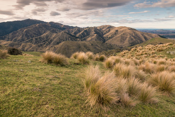 sunset over Wither Hills in Marlborough, South Island, New Zealand