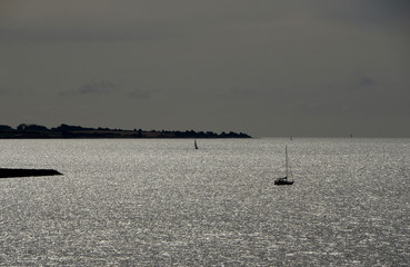 Backlight view over a calm sea with many yachs sailing around.