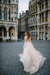 Obraz premium Portrait of a lovely young girl in a lush dress walking around the park and the Grand Palace(Brussels)