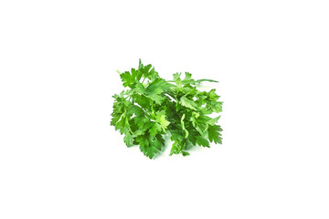 Obraz premium Fresh green parsley isolated