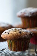 チョコマフィン