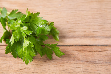 Fresh green parsley