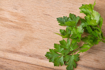 Fresh green parsley