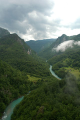 Kanion Rzeki Tara 2
