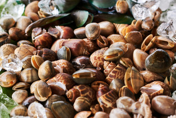Close up mix seafood.