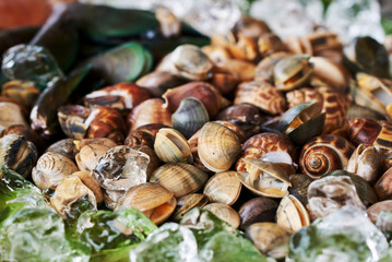 Assortment of seafood mix dish.