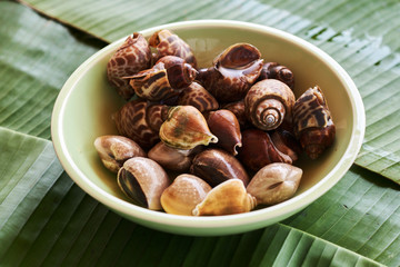 Raw seashells on a plate