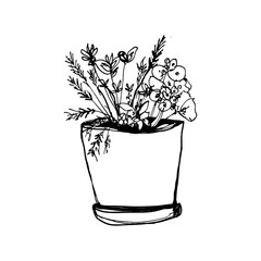 Plants illustrations. Hand drawn object