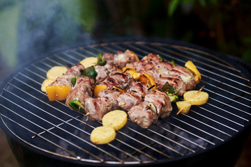 Meat and vegetable skewer on barbecue grill.