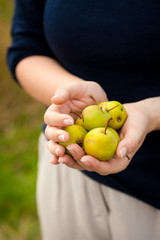 Hands holding bunch of summer apples and pears. Young woman carrying fruit in both palms.