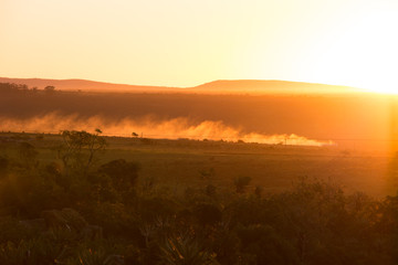 Tractor Driving in Field by sunset Glow