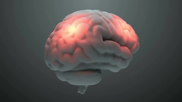 Medical theme 3d render brain with orange zones that symbolize damage or pain. Headache zone concept. Activation of brain intelligence zone. 
