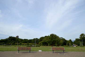 Obraz premium 公園のベンチ