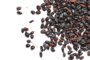 Dry barberry isolated on white.