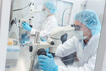 Two lab technicians or scientists working in laboratory looking thru microscopes 