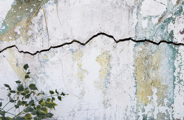 Crack on white old cement wall texture background, construction concept