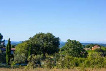 Landscape and Vegetation  in the Provence, France