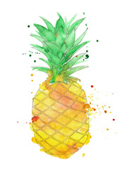 Watercolor Picture Pineapple