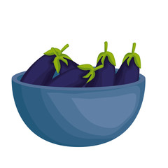 fresh eggplant in bowl vegetarian food vector illustration design