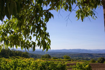View into the Valley, Provence