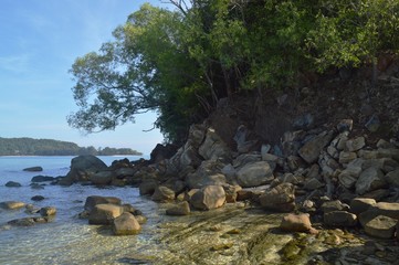 a view at the beach