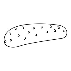 fresh cucumber vegetarian food vector illustration design