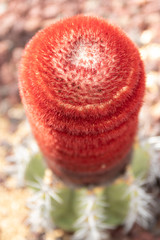 Obraz premium 青乱雲