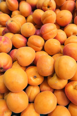 Close up Apricots, fresh fruit apricots, healthy fruit.