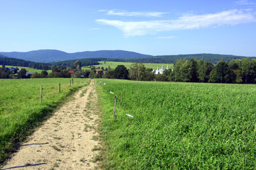 Fototapeta na wymiar Dirt road among green fields in summer sunny day.Village and mountains in the background.