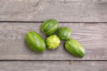 Strange round cucumbers. Rounded cucumbers