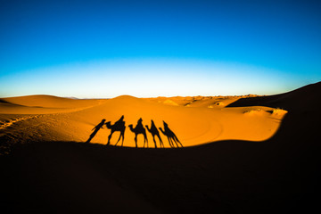 Fototapeta na wymiar Wide angle shot of people riding camels in caravan over the sand dunes in Sahara desert with camel shadows on a sand