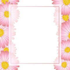 Pink Aster, Daisy Flower Banner Card Border