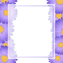 Purple Aster, Daisy Flower Banner Card Border
