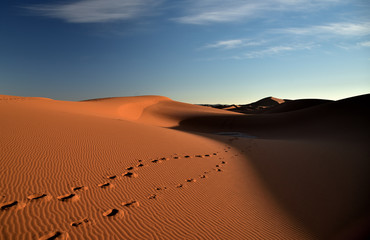 Fototapeta na wymiar Fußspruen im abendlichen Wüstensand