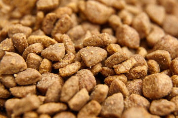 Dry food for dogs and cats. Pet meal background