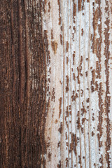 Brown old texture on the tree
