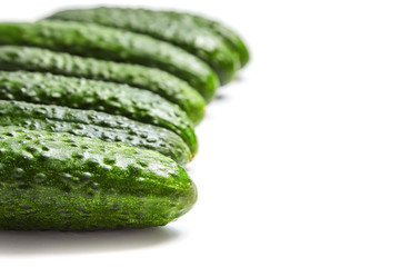 Fresh green cucumbers on white background. Gherkin