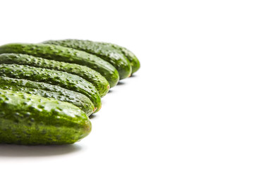 Fresh green cucumbers on white background. Gherkin