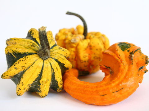 Ż&oacute;łta, zielona i pomarańczowa dynia ozdobna na jasnym tle - jesienna, uniwersalna dekoracja na halloween do nowoczesnego domu, wnętrza