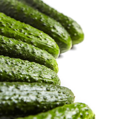 Fresh green cucumbers on white background. Gherkin