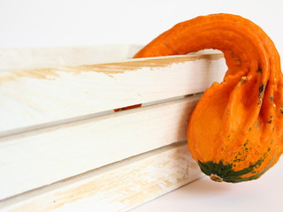 Pomarańczowa dynia ozdobna z białą skrzynią na jasnym tle - jesienna, uniwersalna dekoracja na halloween do każdego wnętrza