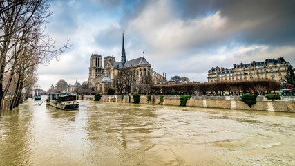 Inondation de la Seine devant Notre Dame