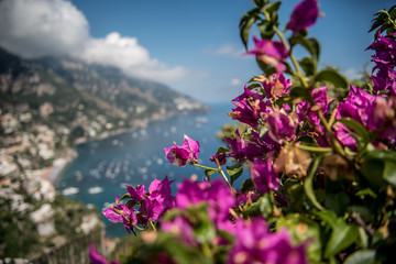 Purple Flowers at Amalfi Coast Italy 